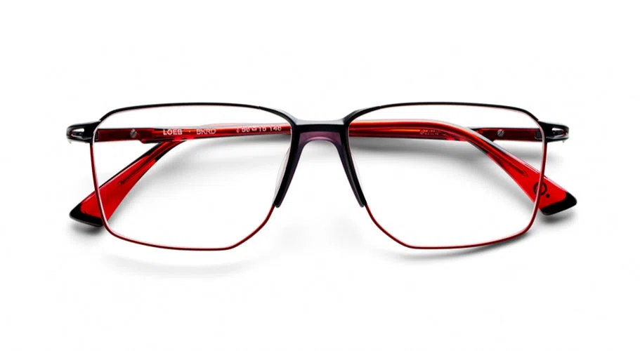 Etnia Barcelona LOEB Eyeglasses - view 9